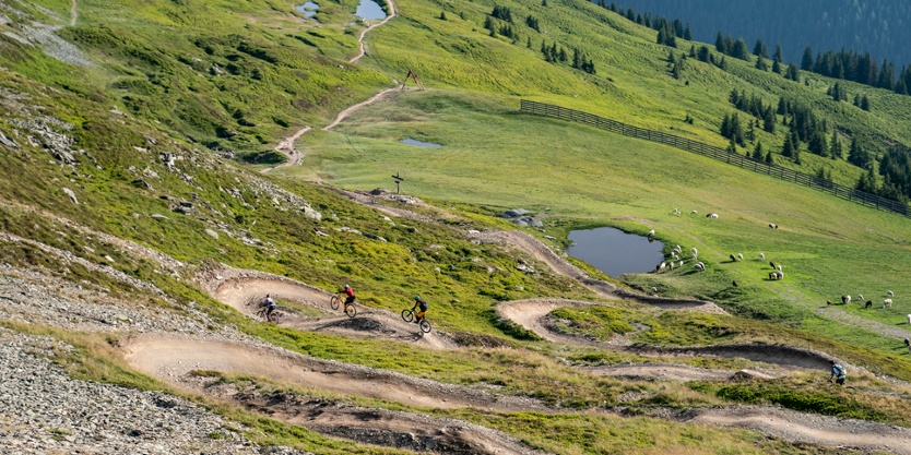 Saalbach Bike Sommer Hacklberg Trail 11 .jpeg
