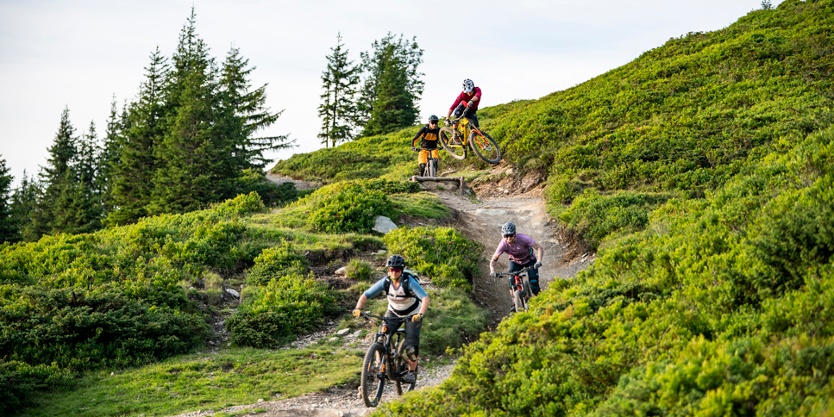 Saalbach Bike Sommer Hacklberg Trail 16 .jpeg